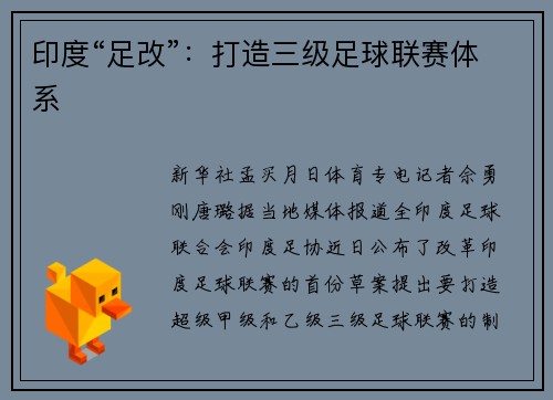 印度“足改”：打造三级足球联赛体系